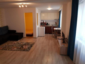 Apartament 1 Central